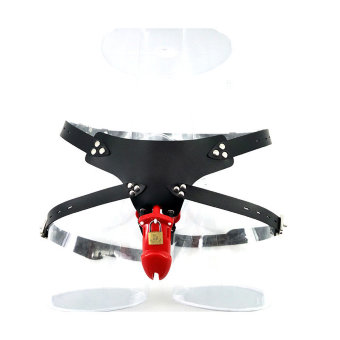 Мужские трусы верности с клеткой на пенис Мужские трусы верности с клеткой на пенис